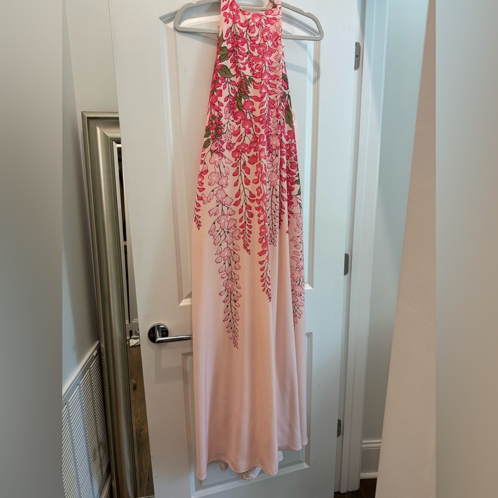 Mestiza New York Adelina Draped Floral-Print Trapeze Gown